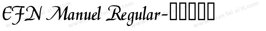 EFN Manuel Regular字体转换